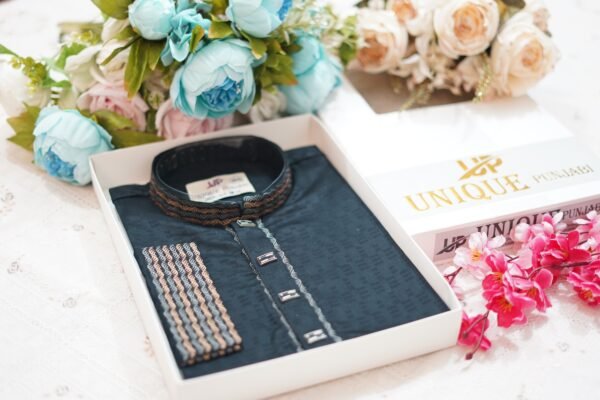 Indian Embroidery Panjabi এমব্রয়ডারি ইন্ডিয়ান পাঞ্জাবি IEB02