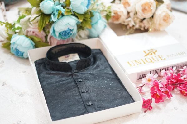 ইন্ডিয়ান লাকজারি পাঞ্জাবি Indian Luxury Cotton ILB001